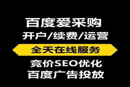 百度竞价广告投放成功案例解析